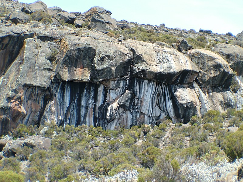 Horombo Hut (3700m) - Zebra Rocks (3980m) - Horombo Hut (3700m)